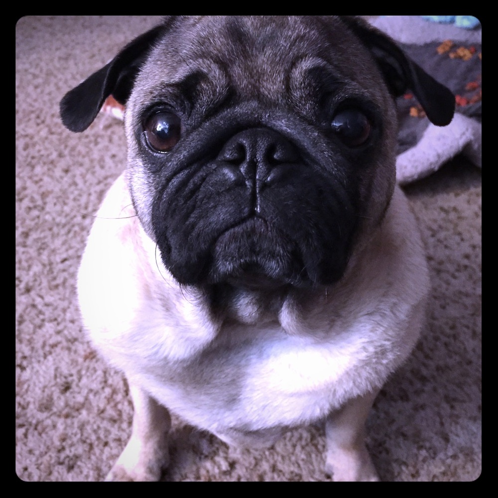 You looking at me? And soon new grandchild